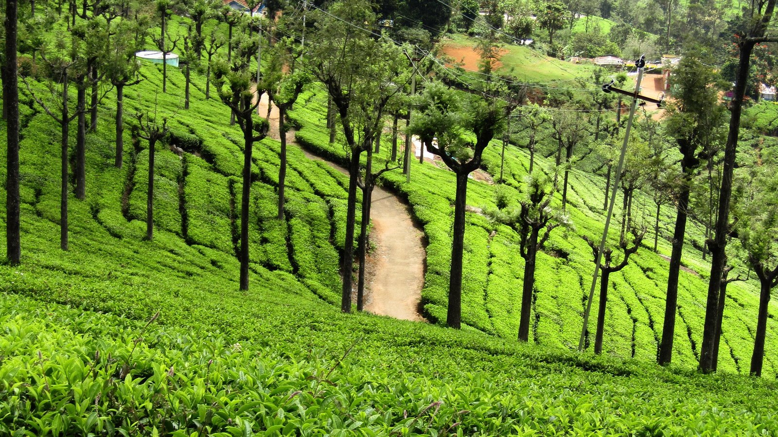 circuit au Tamil Nadu