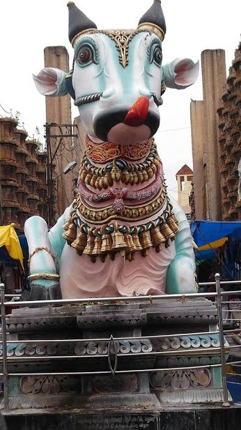 nandi